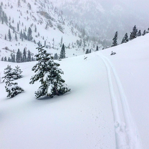 Skiing